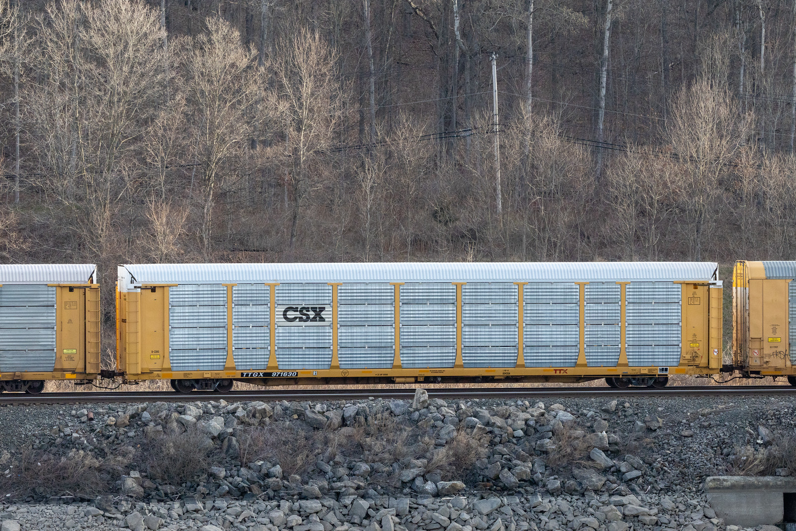 TTGX 971630