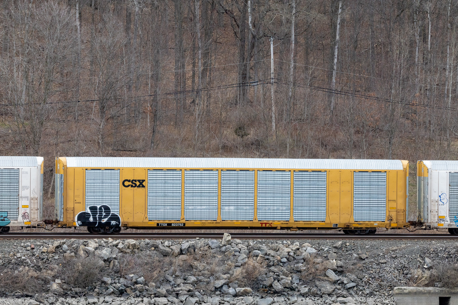 TTGX 823752