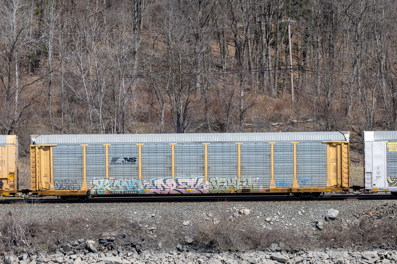 TTGX 704880