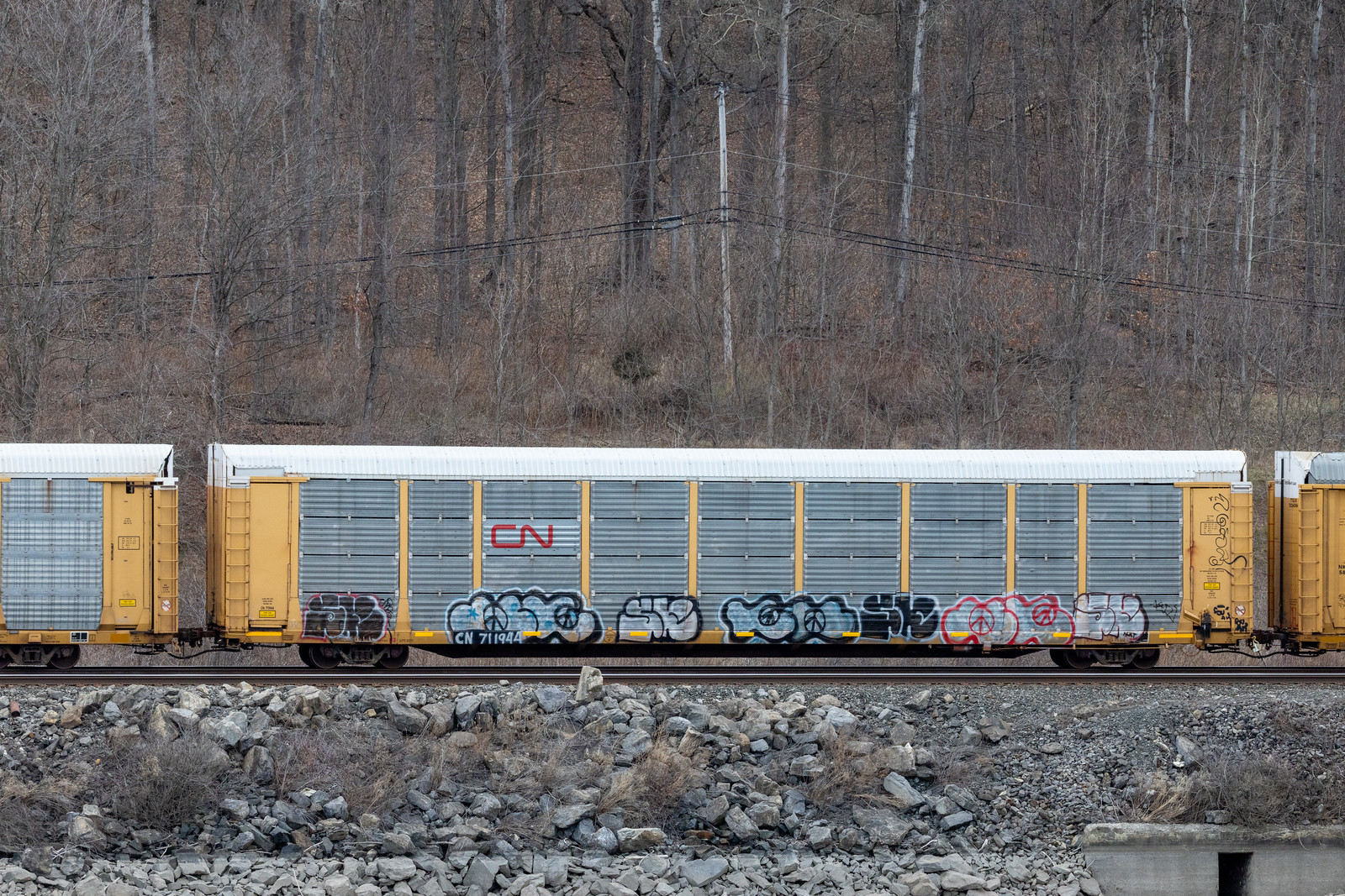 CN 711944