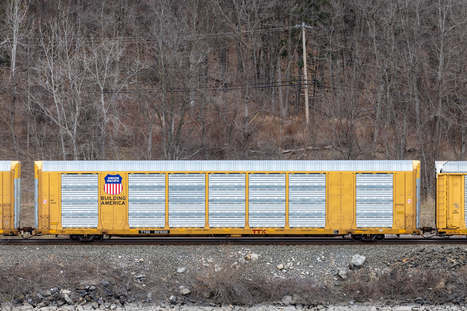 TTGX 821550