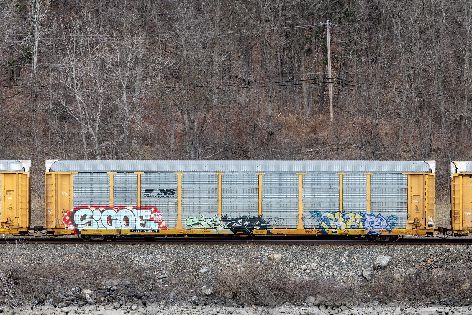TTGX 704398
