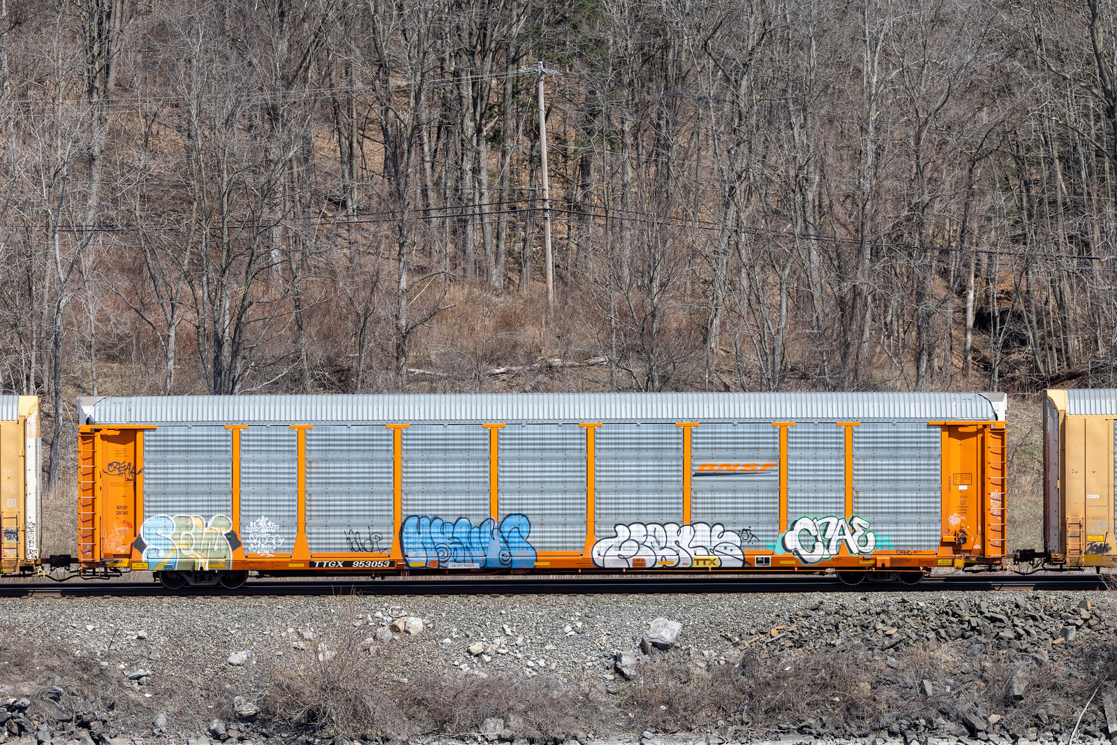 TTGX 953053