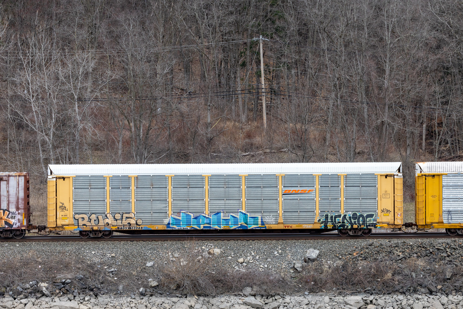 TTGX 160253
