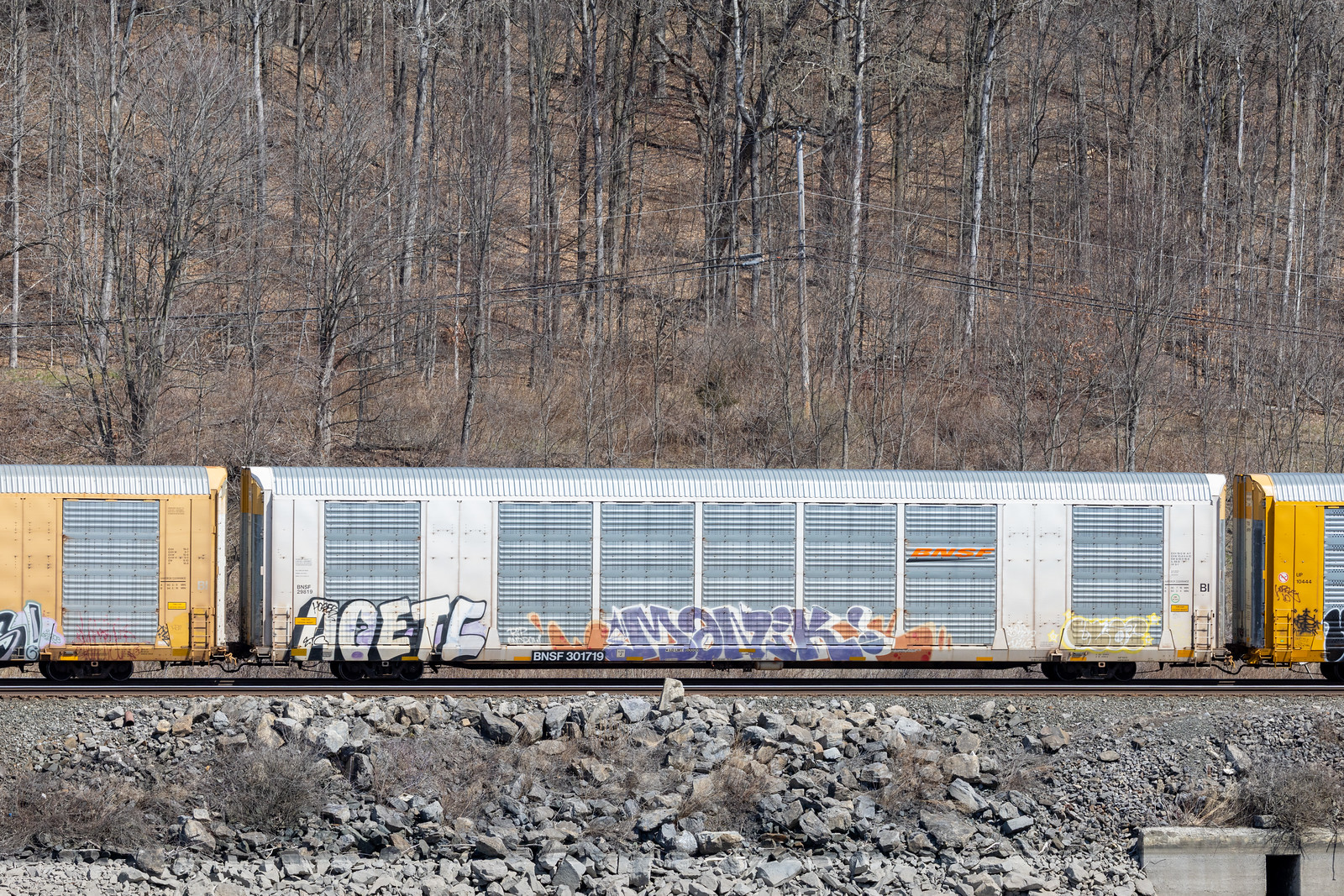 BNSF 301719