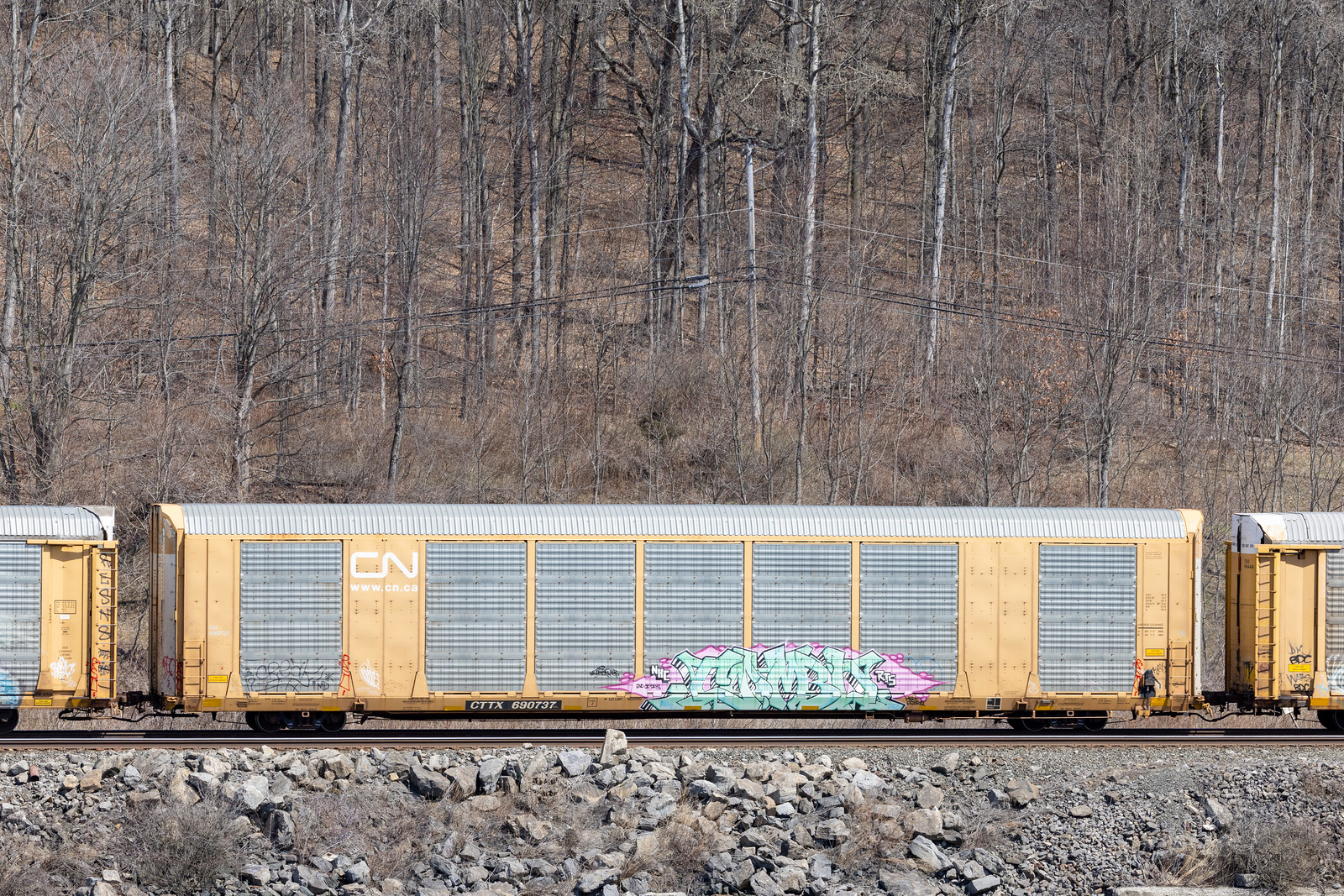 CTTX 690737