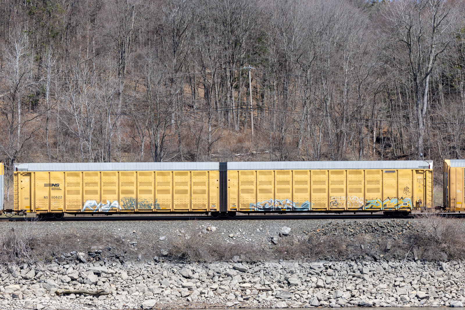 NS