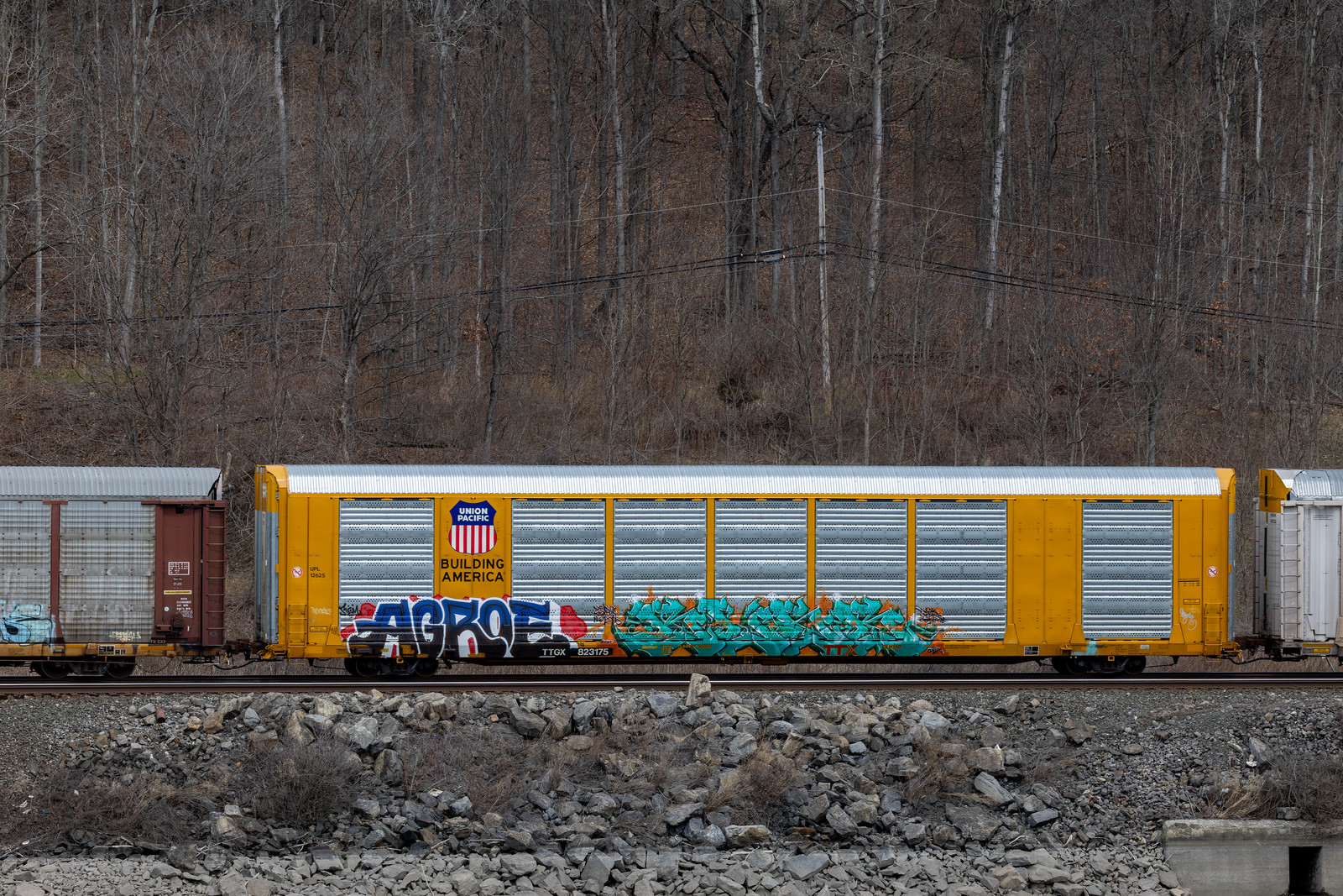 TTGX 823175