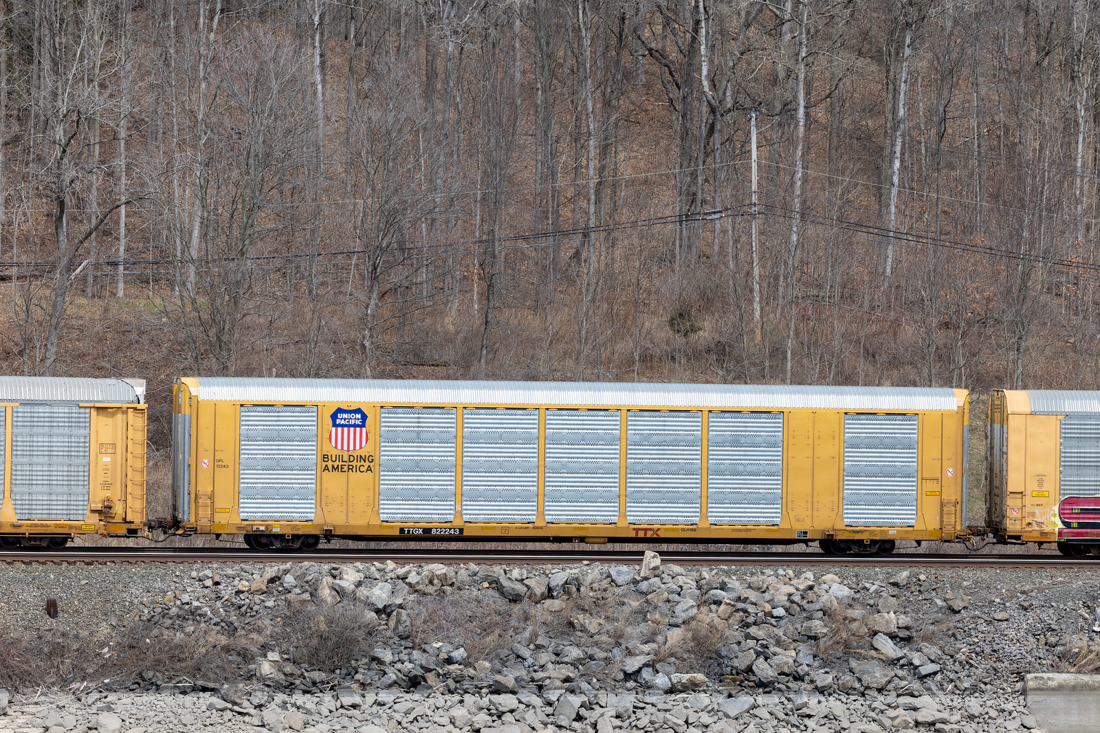 TTGX 822243