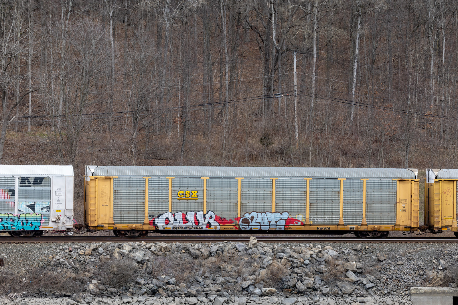 TTGX 942741