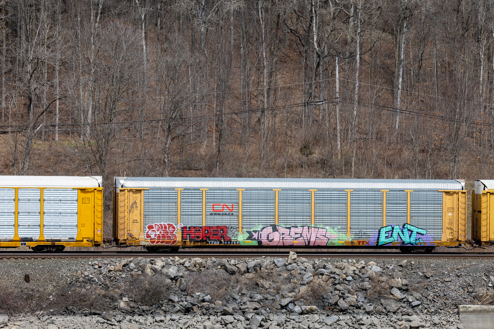 TTGX 706160