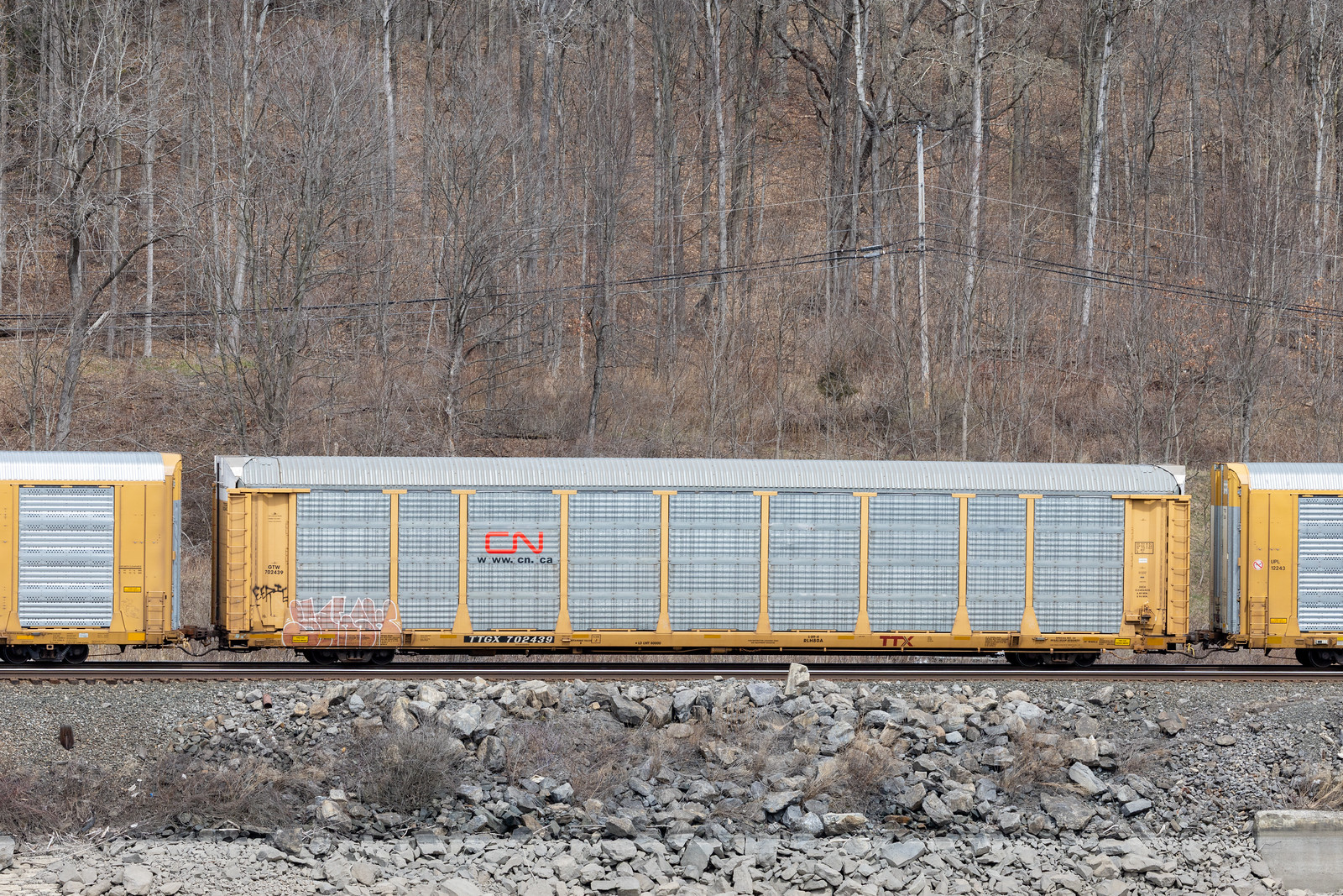 TTGX 702439