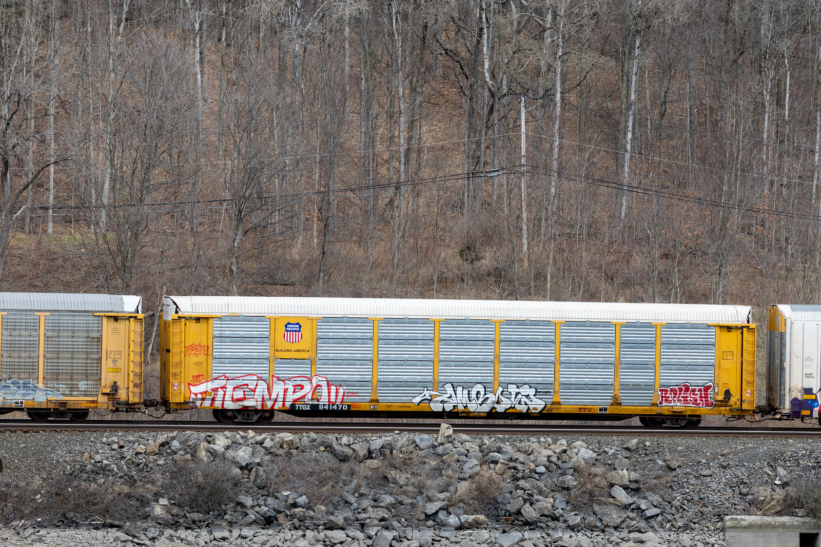 TTGX 941470