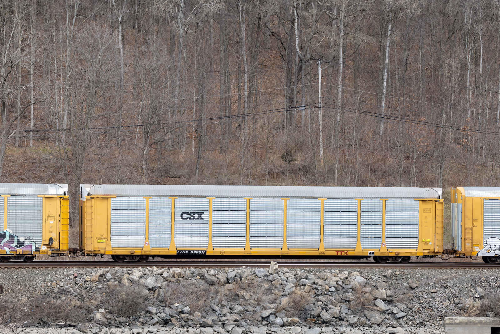 TTGX 996011