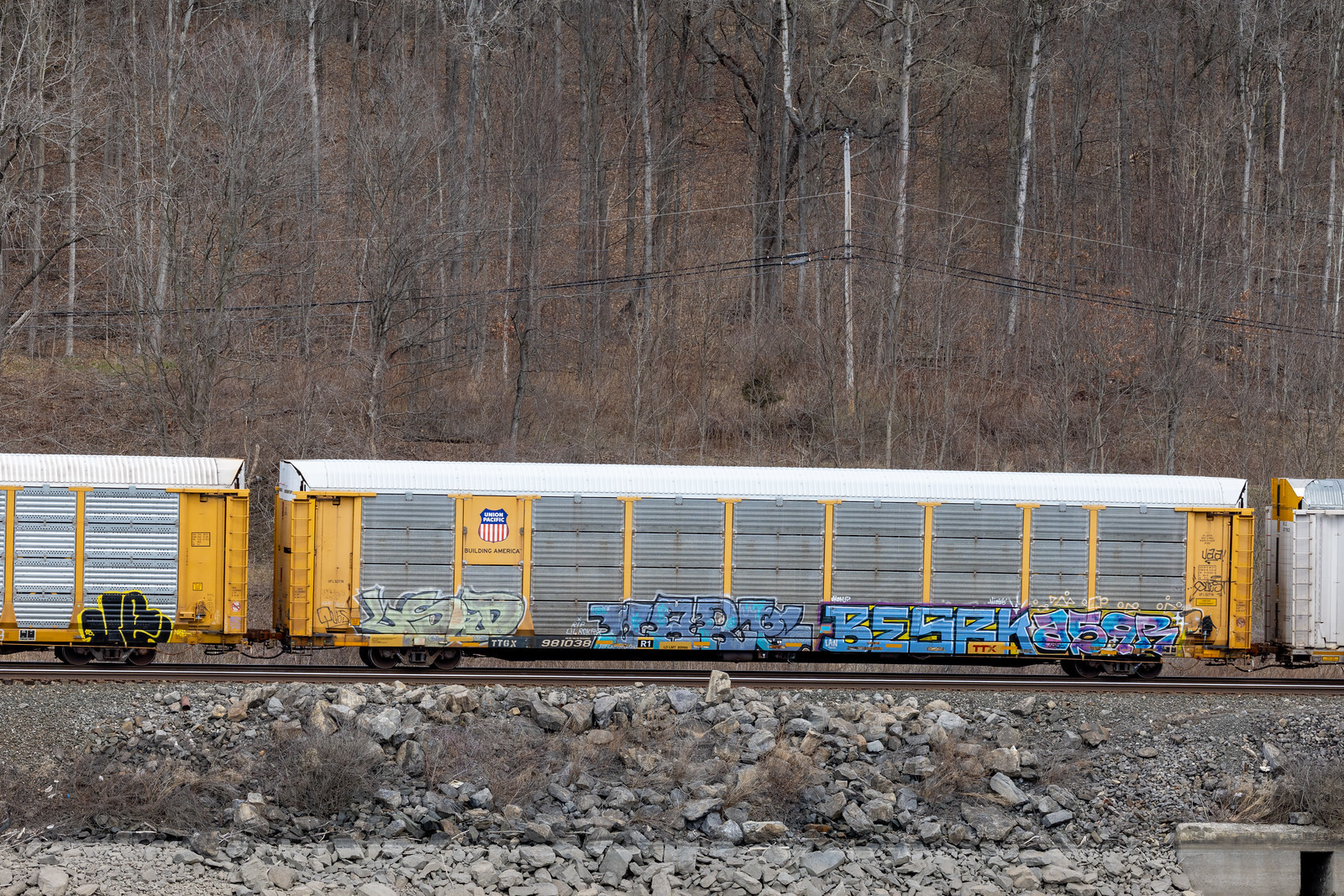 TTGX 981038