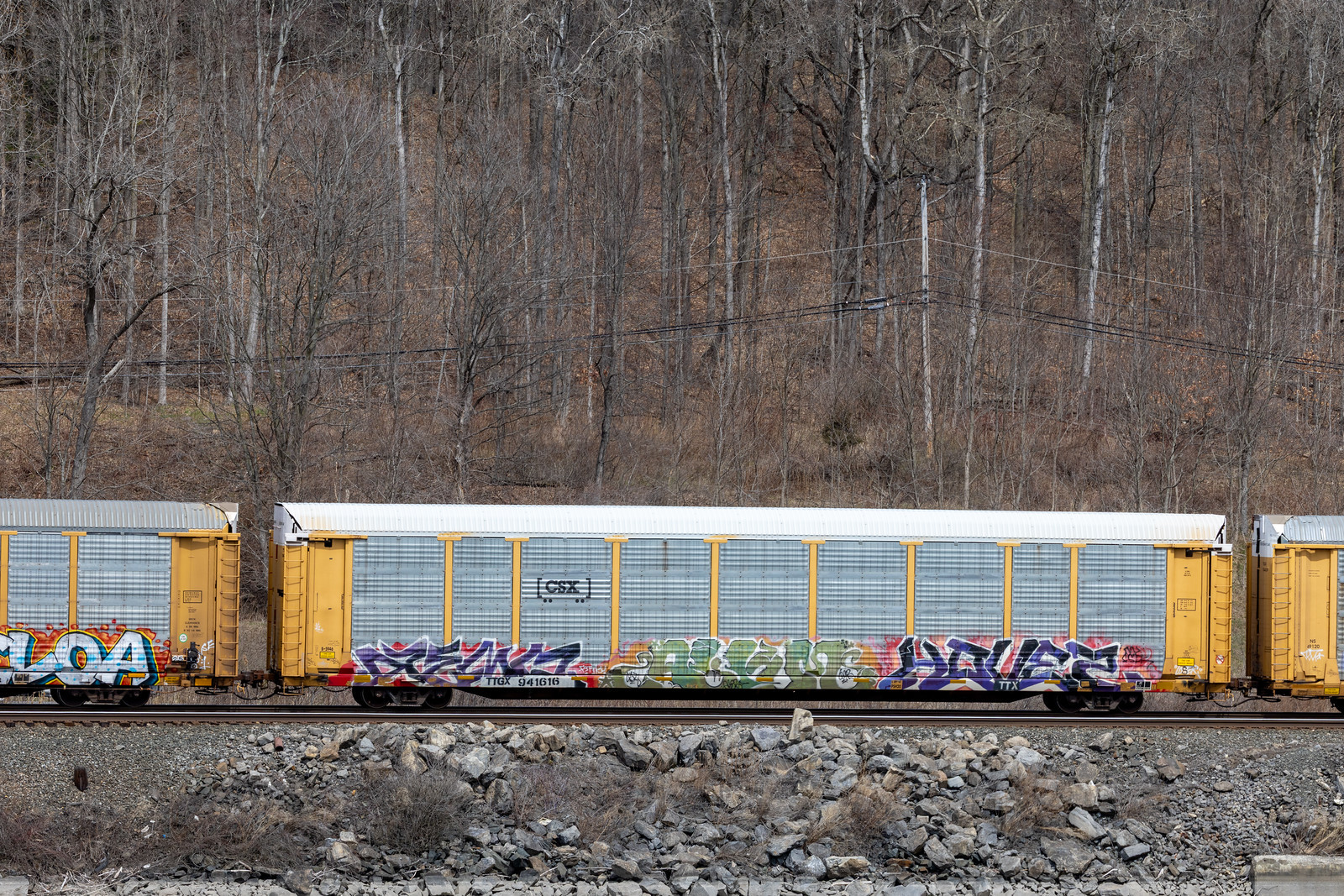 TTGX 941616