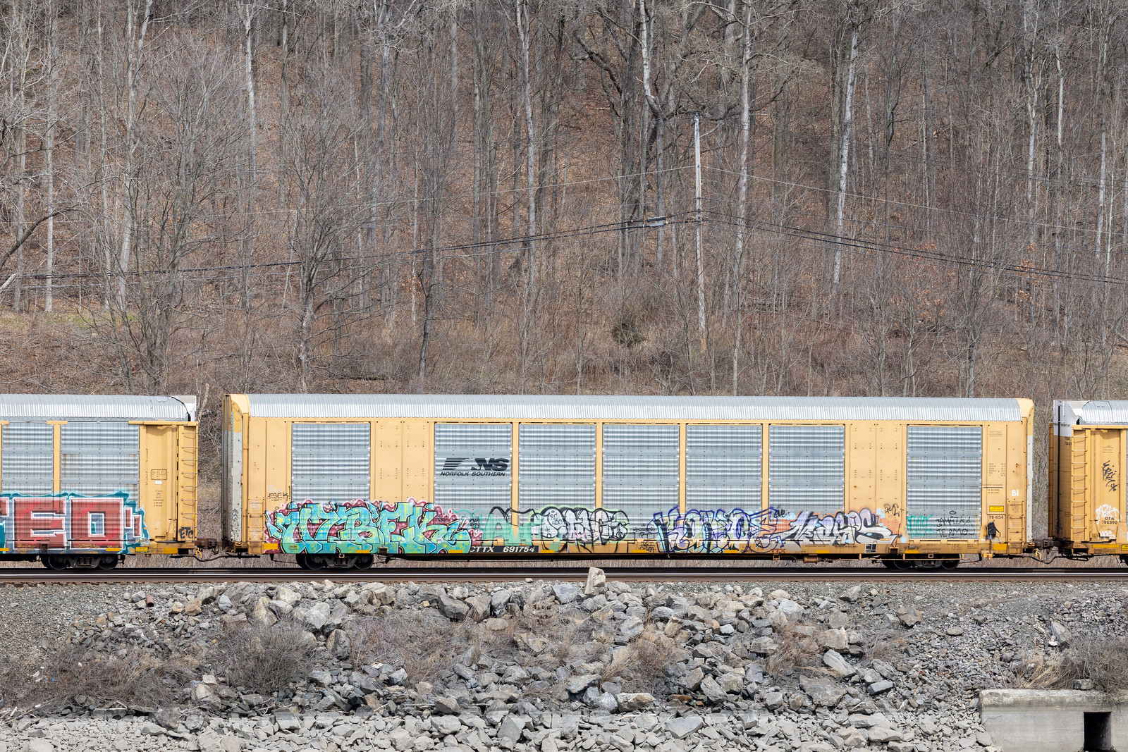 CTTX 691754