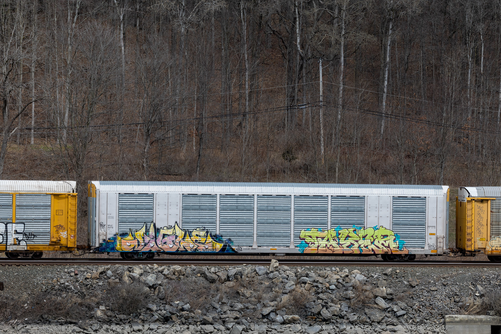 SFLC 307512