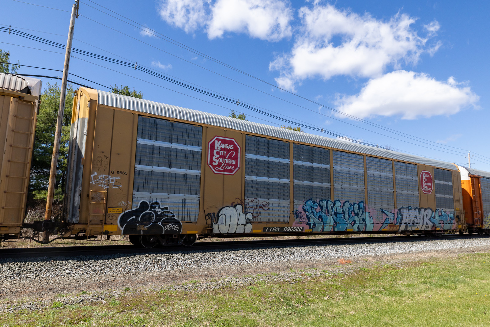 TTGX 696522