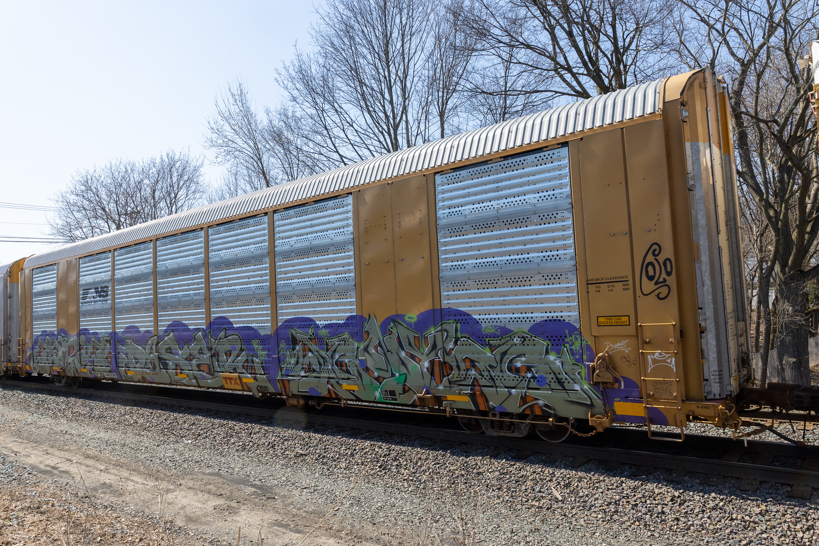 TTGX 823503