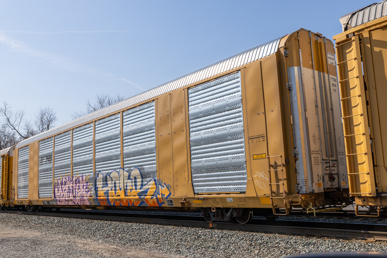 TTGX 824111