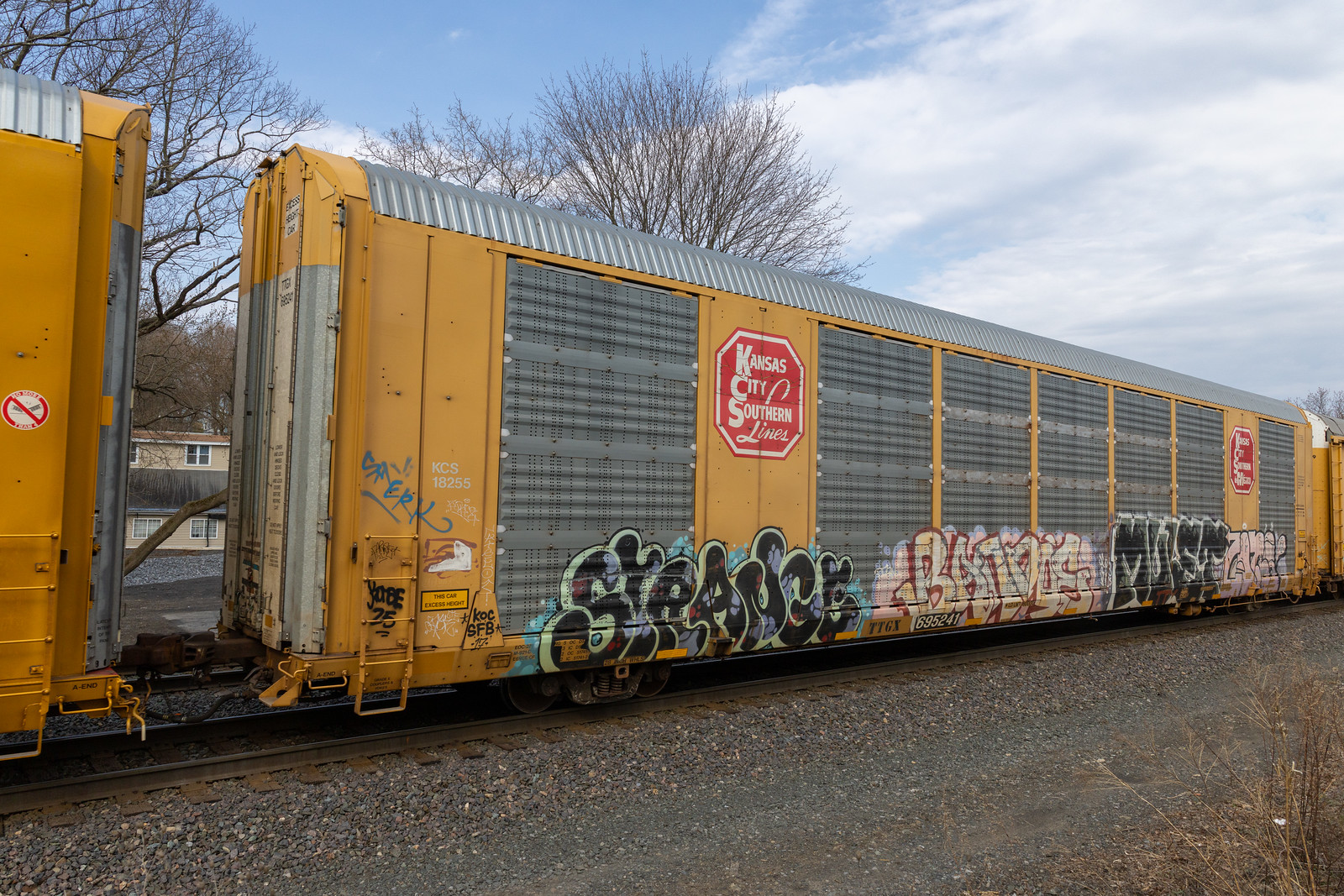 TTGX 695241