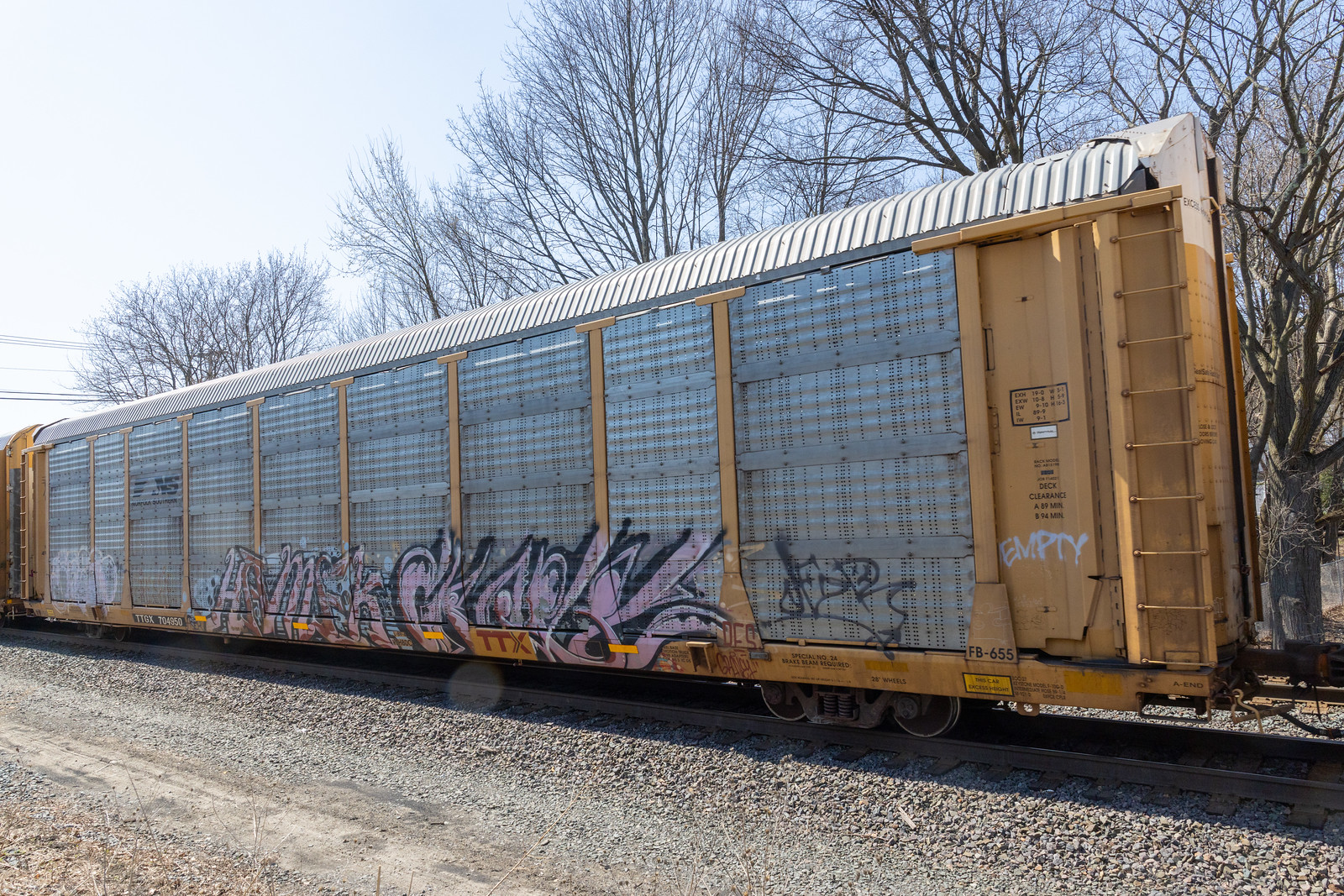 TTGX 704950