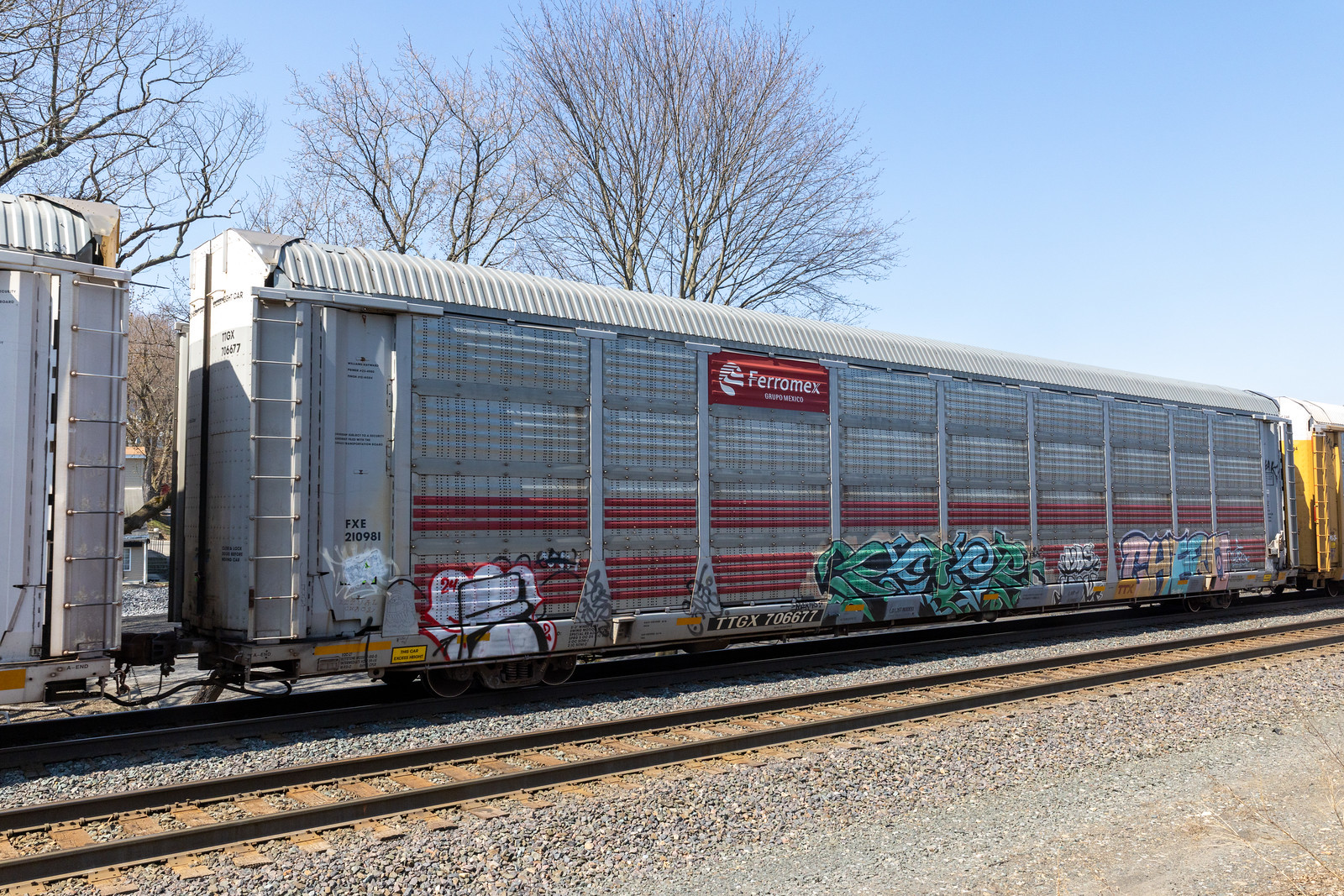 TTGX 706677