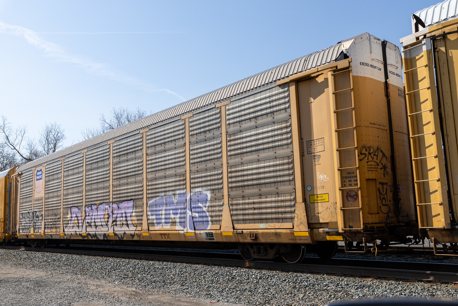 TTGX 995992