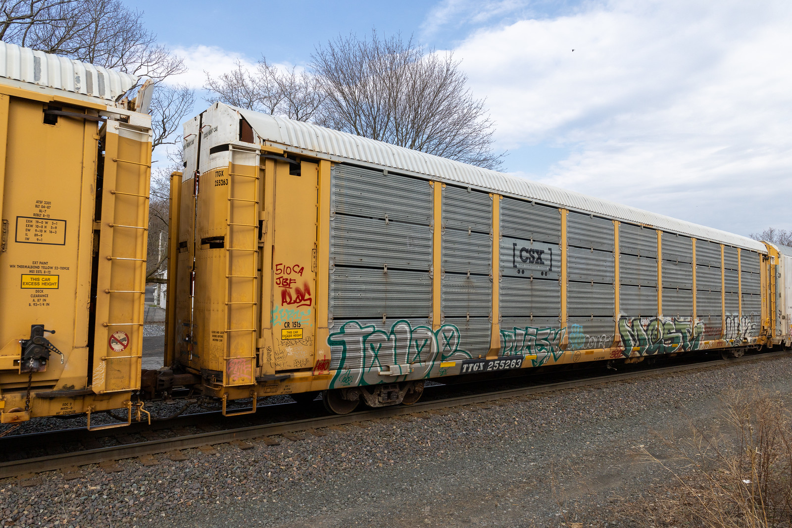 TTGX 255263