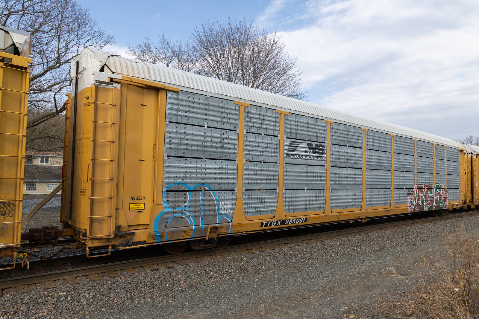 TTGX 985061