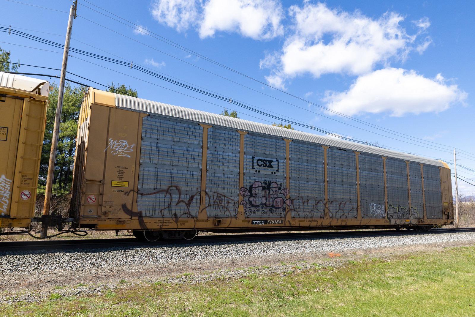 TTGX 716164