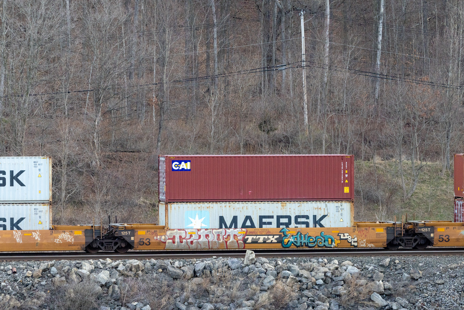 DTTX 733019C