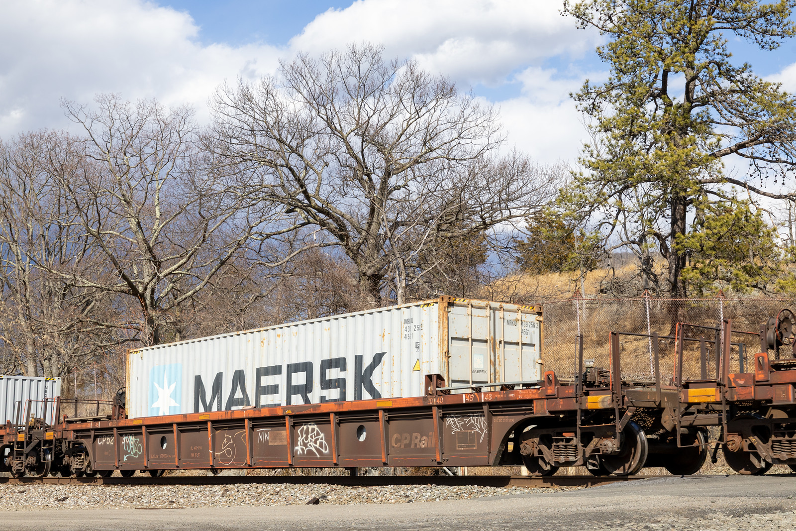 CP 524309C