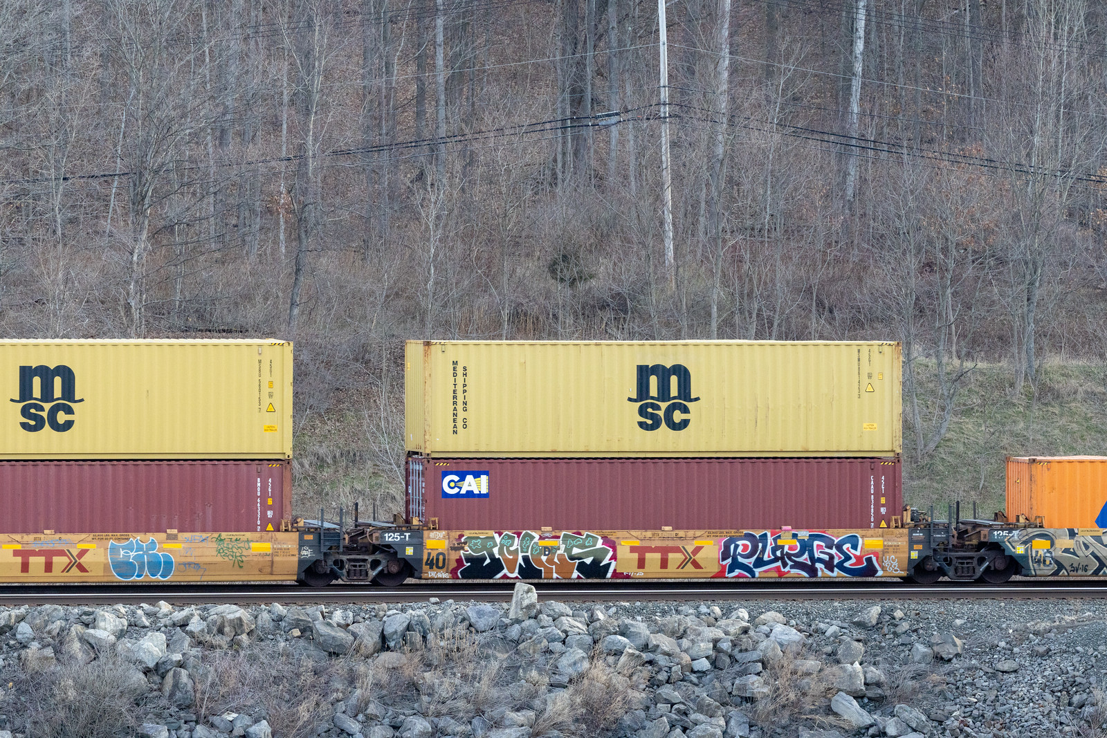 DTTX 742601D
