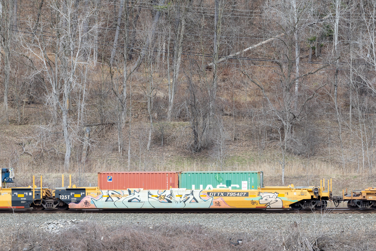 DTTX 795427B