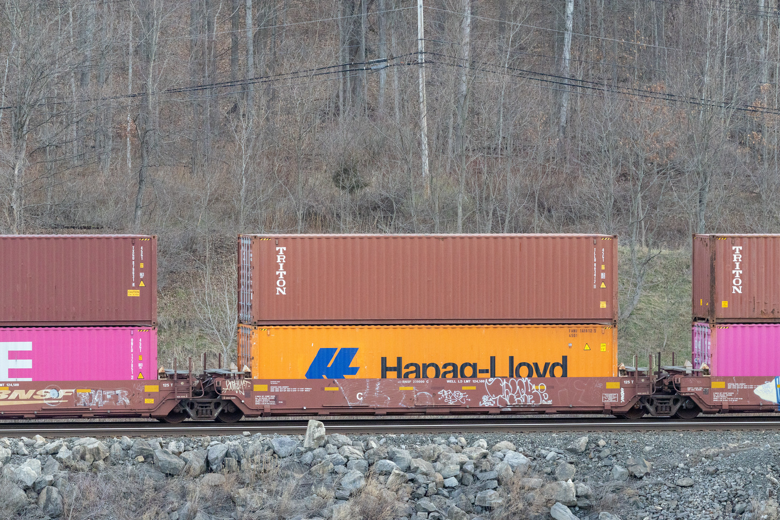 BNSF 239000C