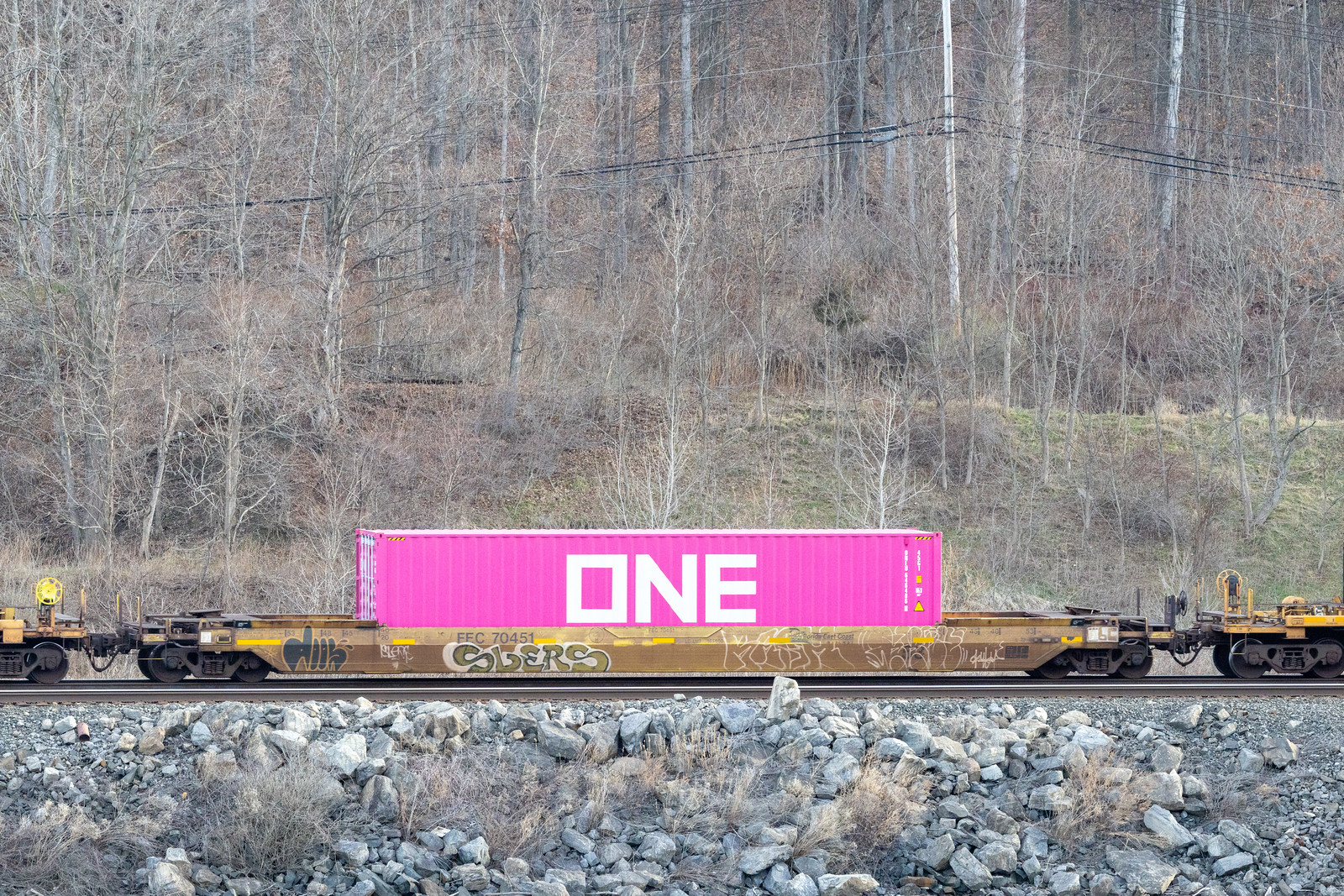 FEC 70451