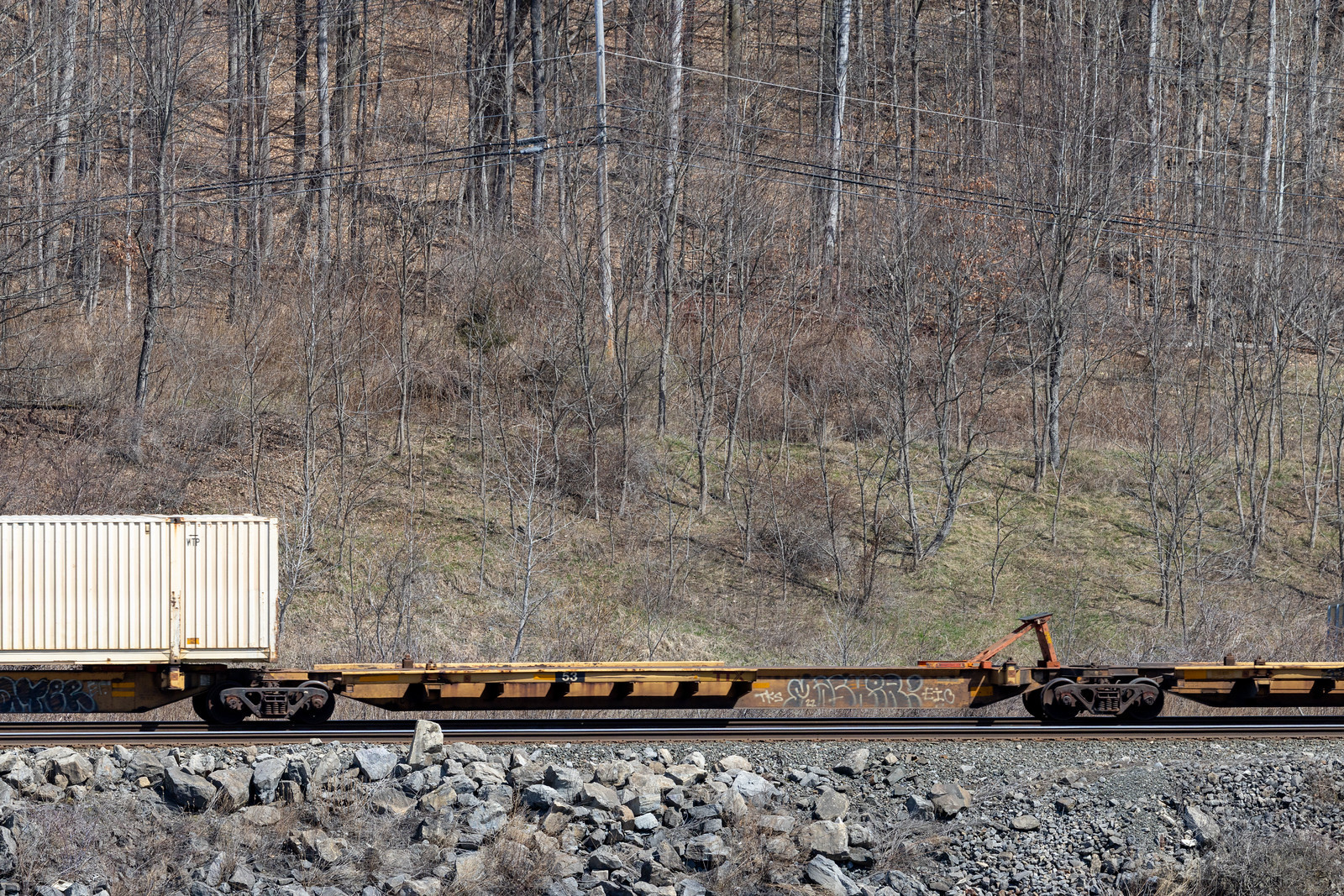 TTAX 753146C