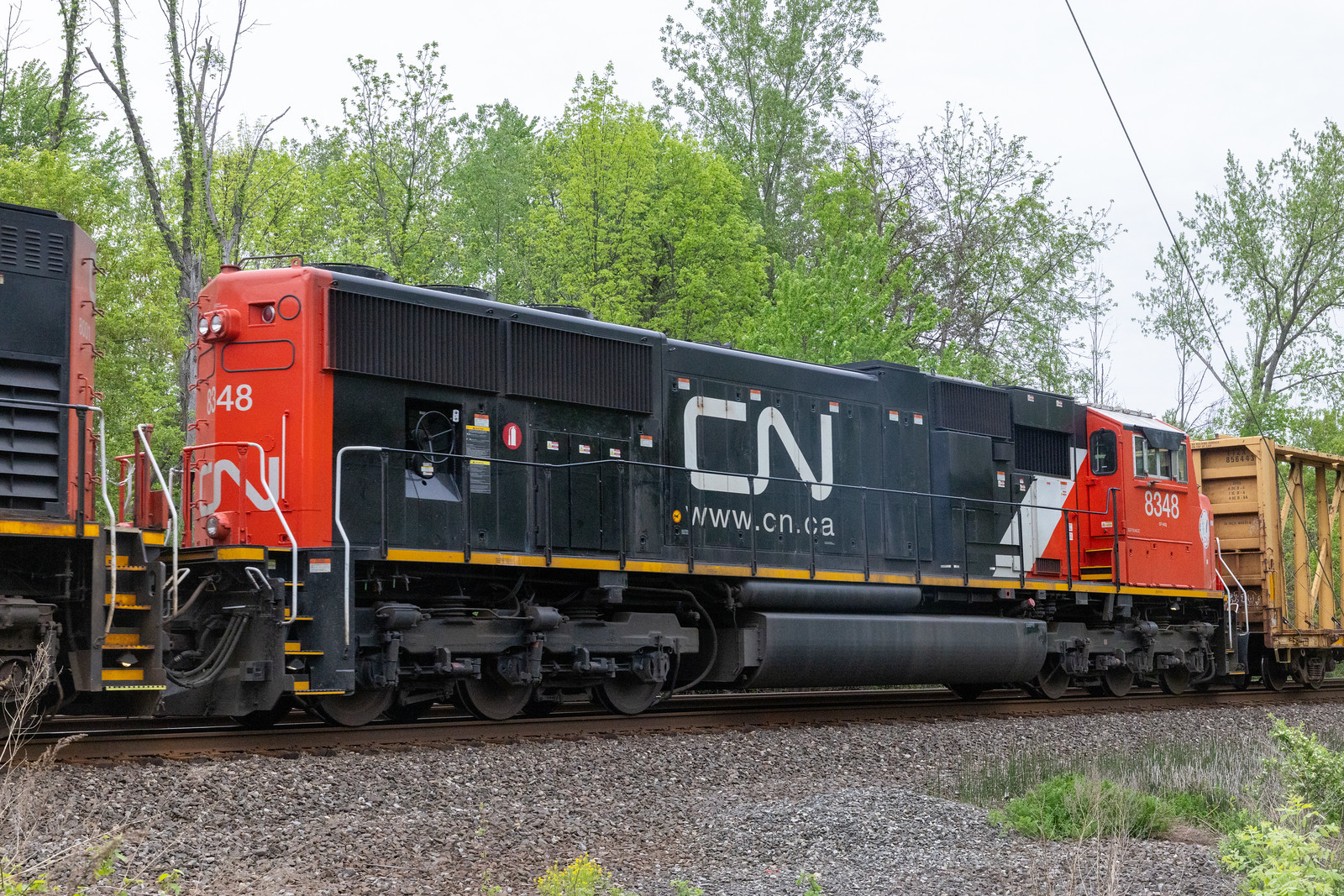 CN 8348