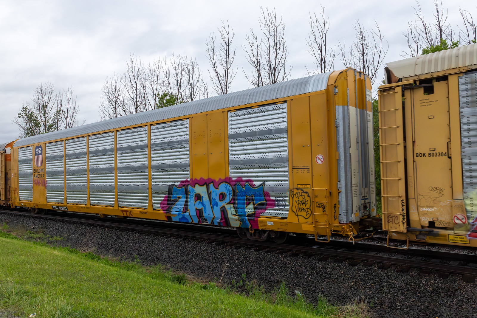 TTGX 823333