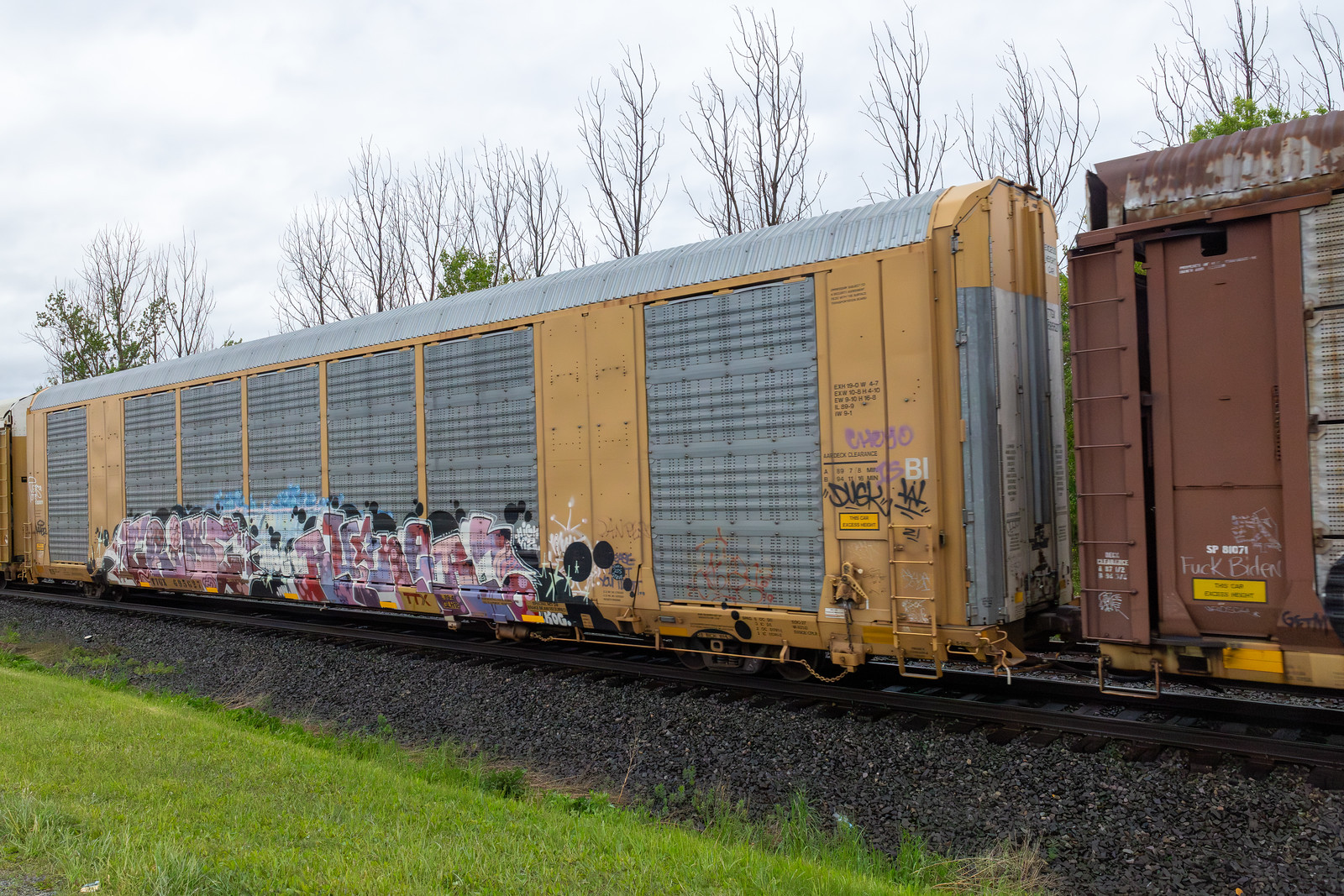 TTGX 695687