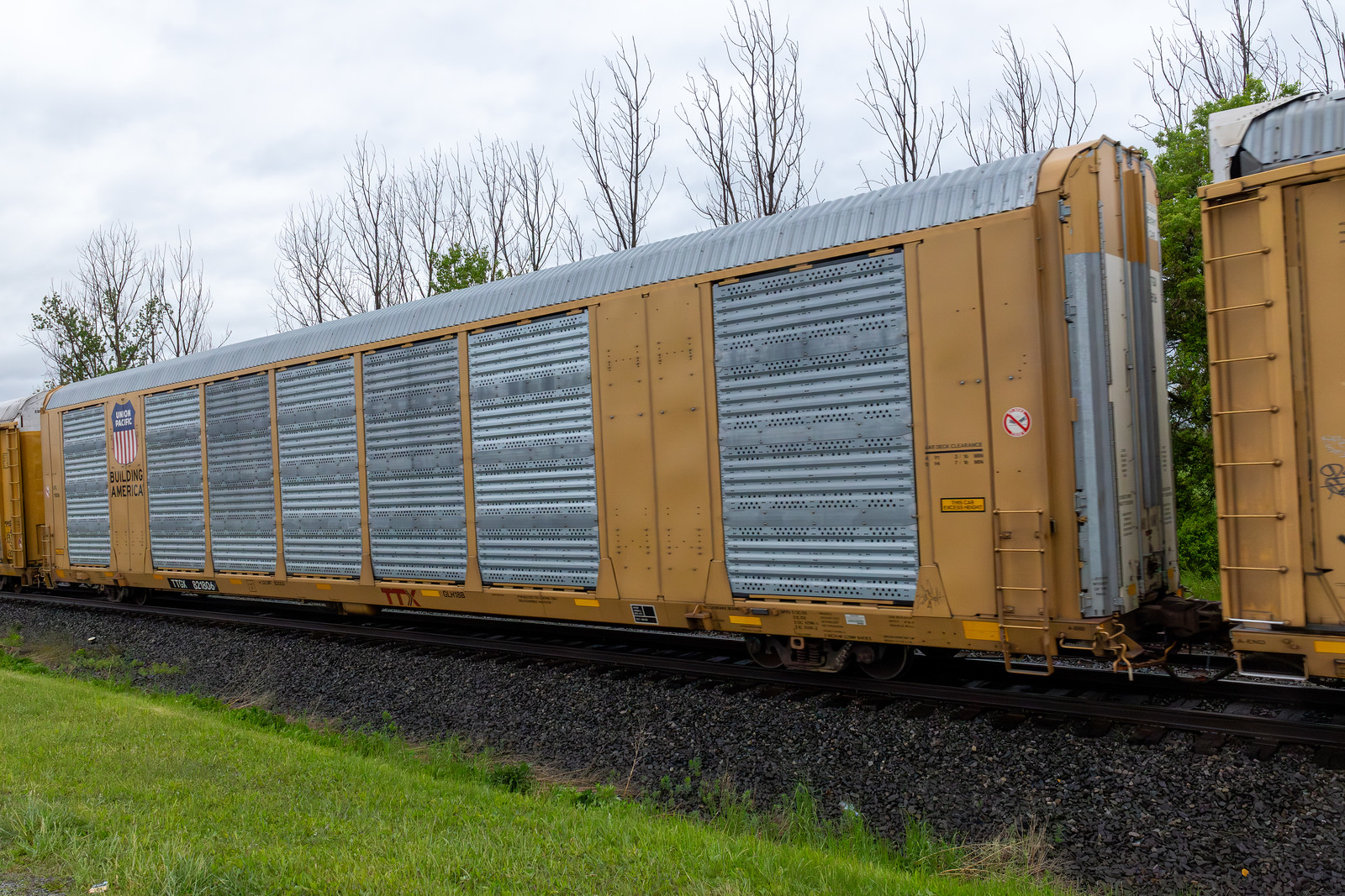 TTGX 821806