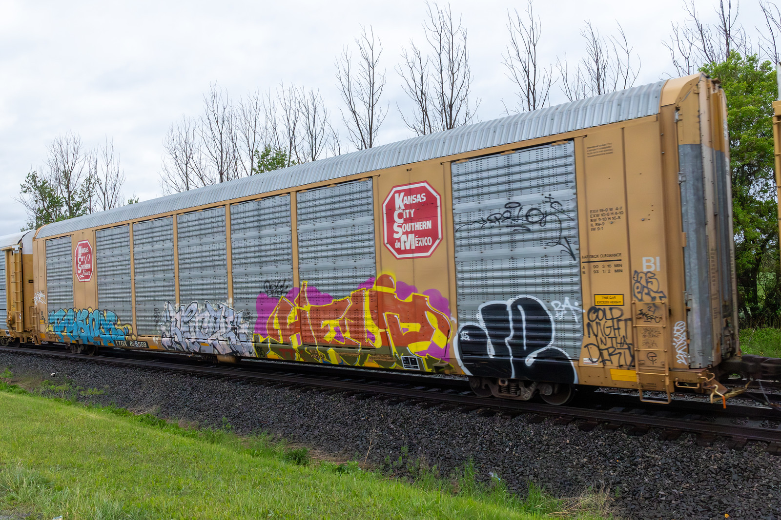 TTGX 696559