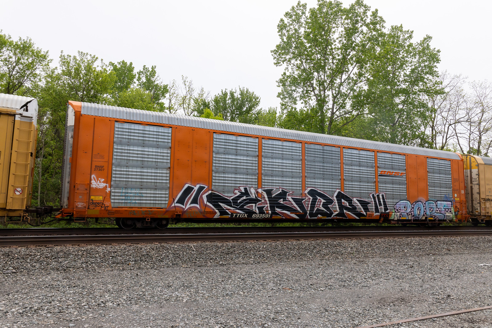 TTGX 693591