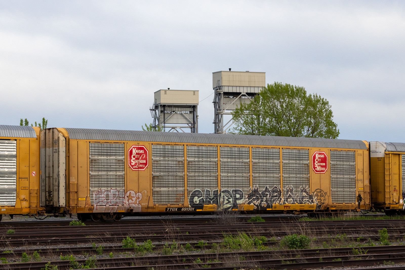 TTGX 691301