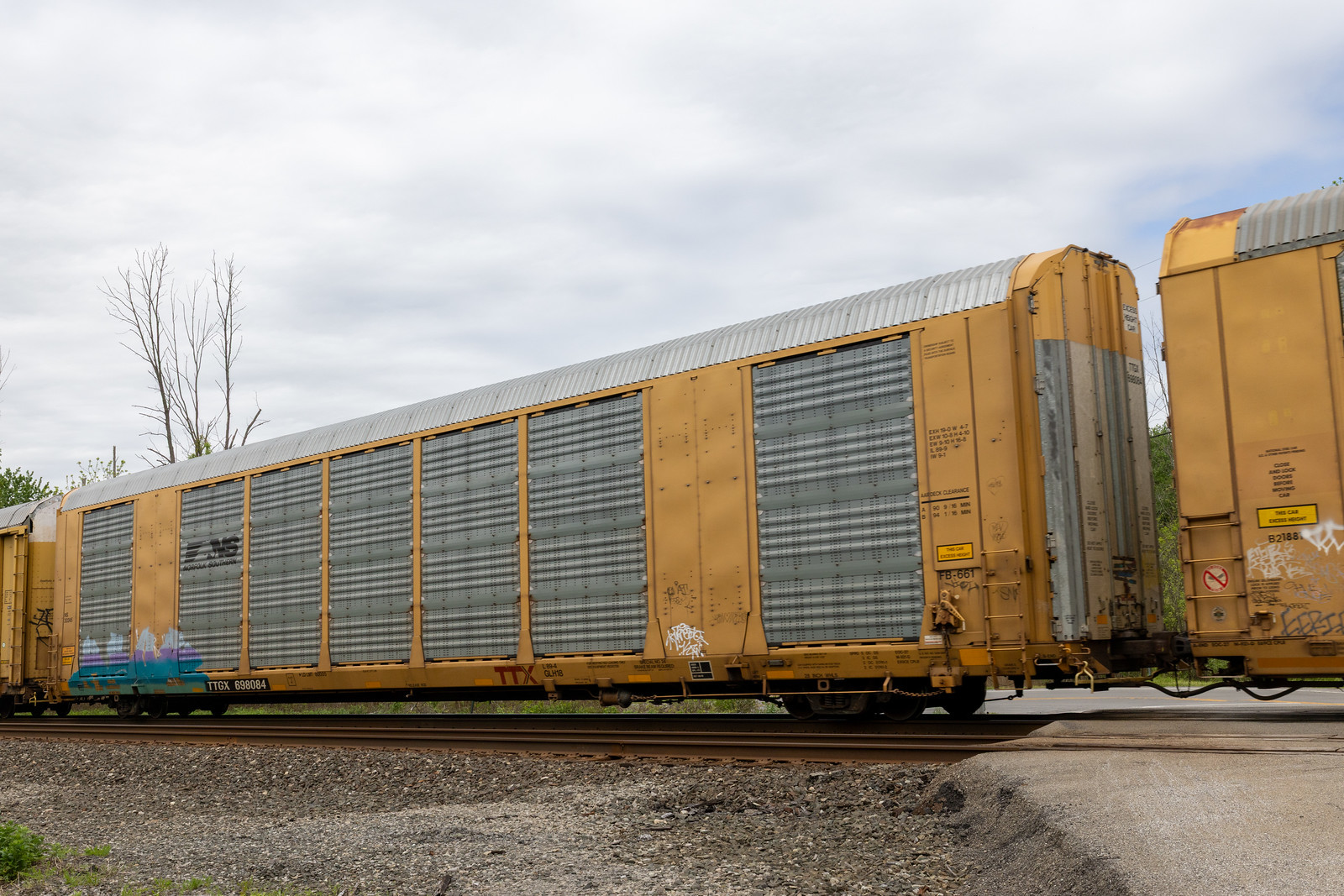 TTGX 698084