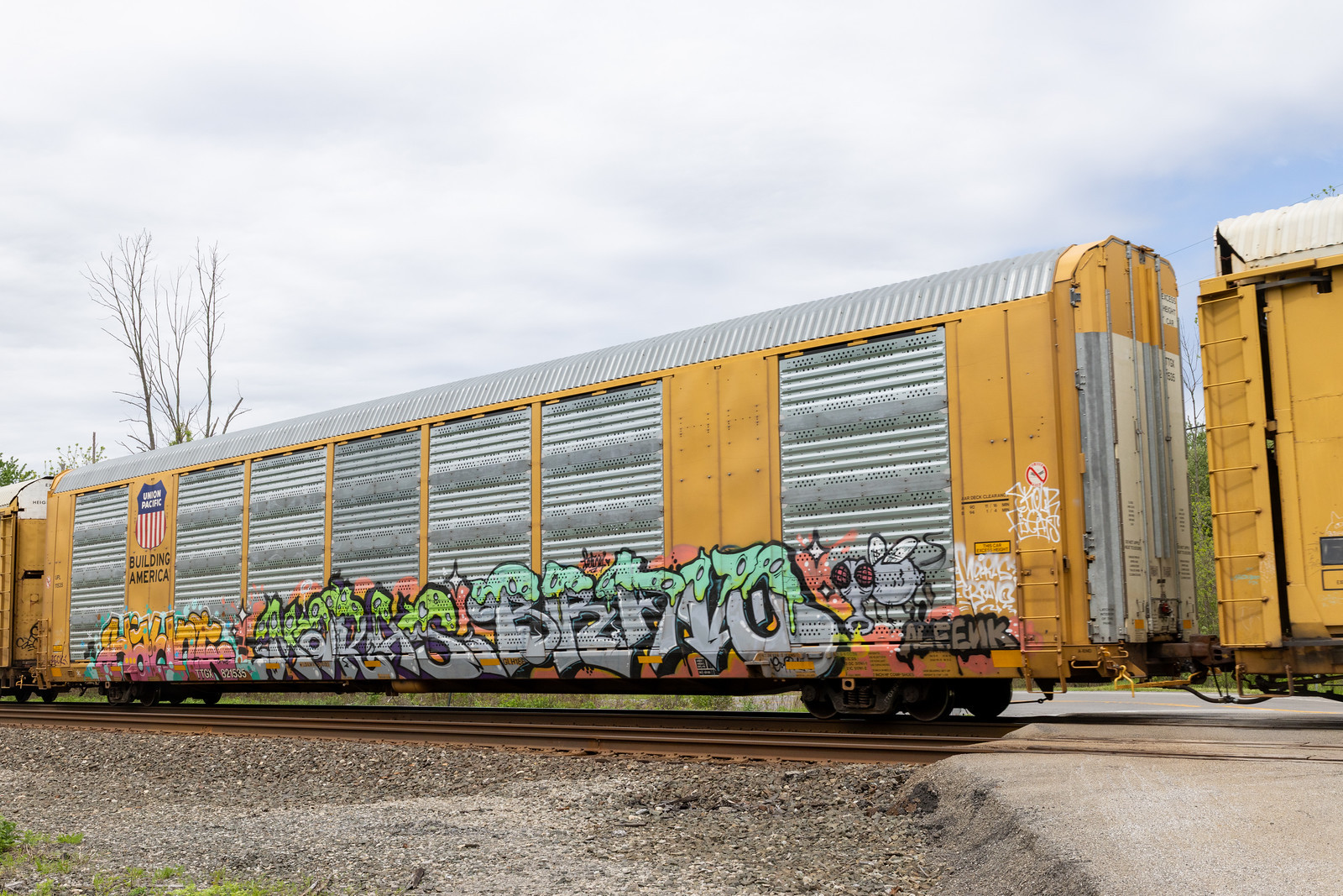 TTGX 821535