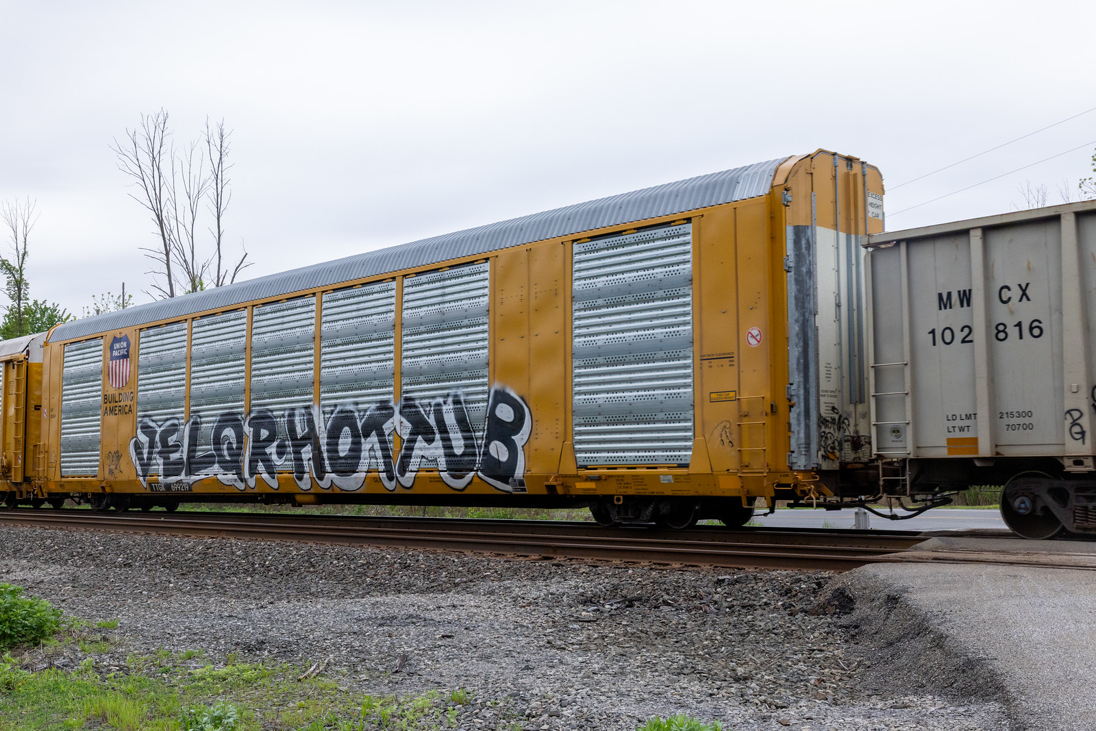 TTGX 699219