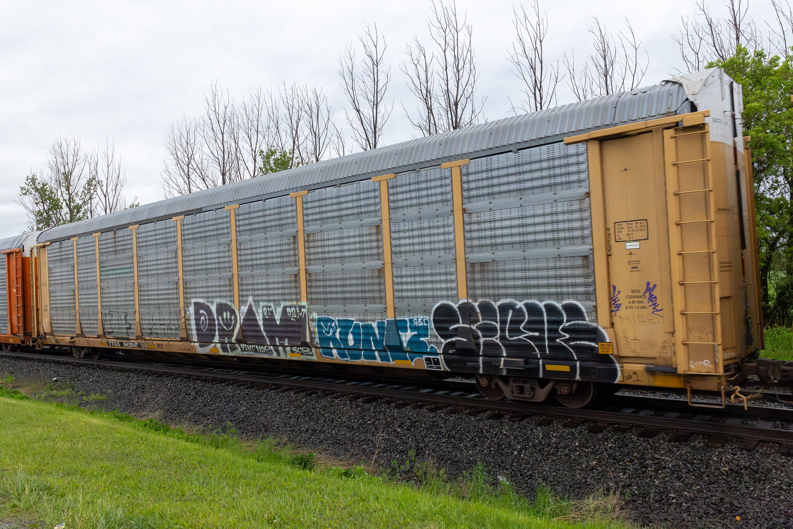 TTGX 942647